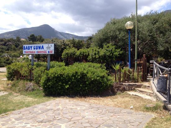 baby luna trattoria